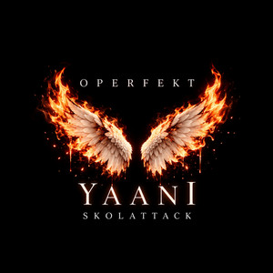 Det Räcker Nu (Yaani) by Operfekt!