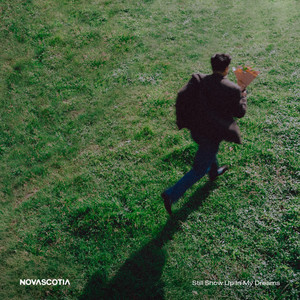 Still Show Up In My Dreams by Novascotia
