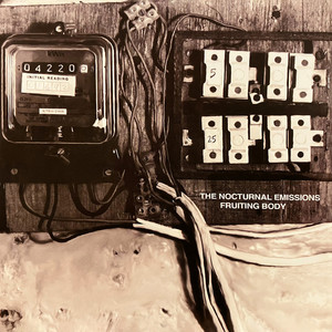 Spiritflesh - Album by Nocturnal Emissions | Spotify