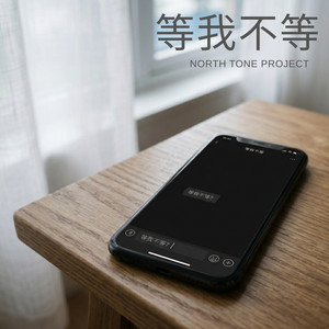 等我不等 by NORTH TONE PROJECT