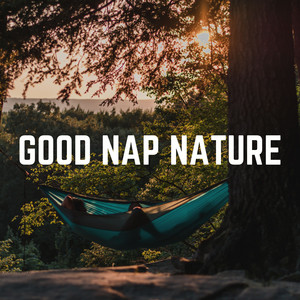 Good Nap Nature album