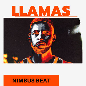 La mentira by Nimbus Beat