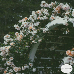 blessed with grace! (faith) by dxvl