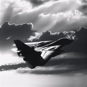 Tomcat by Vapad