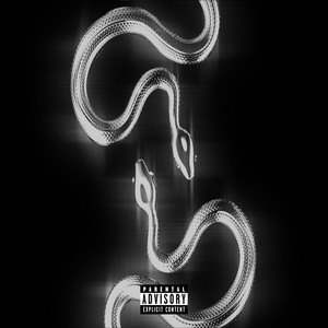 Diamonds N MY Cartier