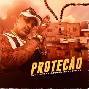 Portada de Proteção