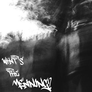 NightWxlff - What's the Meaning?