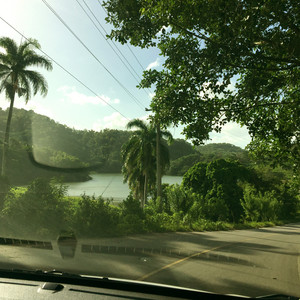 chill supply - Background Music