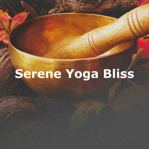 Serene Yoga Bliss