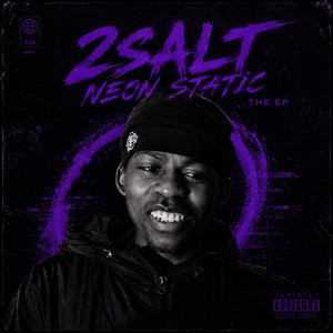 555XPEN by 2Salt, Vson