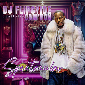 Spectacular by DJ Flipcyide, Cam'ron