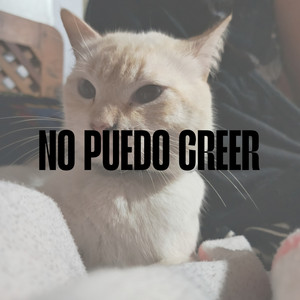 No Puedo Creer