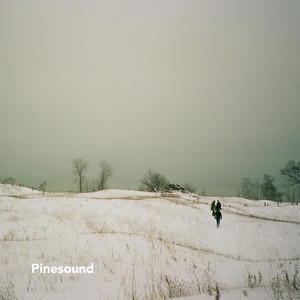 another new year by Pinesound