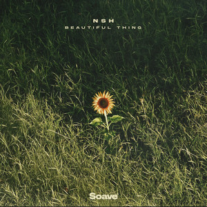 NSH — Beautiful Thing (2026)