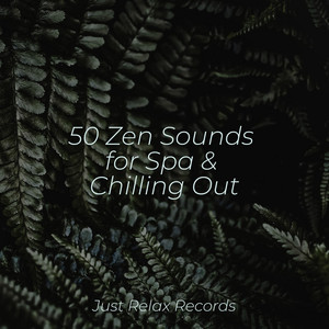 50 Zen Sounds for Spa & Chilling Out