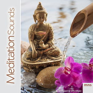 Meditation Sounds