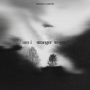 am i stranger to you? by Midnight Lobster
