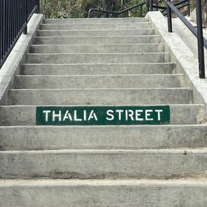 Thalia Street by Gray Connors