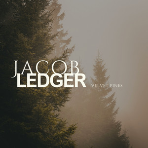 Velvet Pines by Jacob Ledger