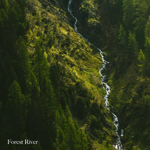 Forest River