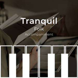 zZz Tranquil Folk Accompaniment zZz album