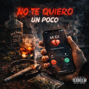 NO TE QUIERO POCO by FORASTEROMC
