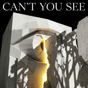 Cant You See by Ali Javed