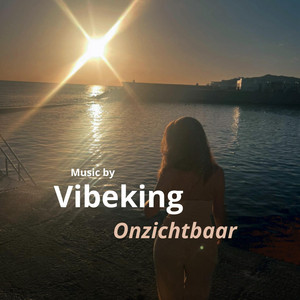 VibeKing - Onzichtbaar