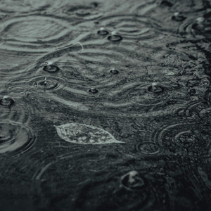 Rain Song by Divine Vibration