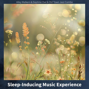 Sleep-Inducing Music Experience