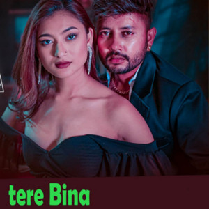 Tere Bina