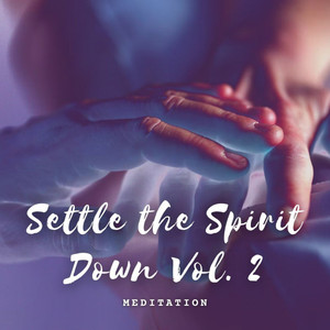 Meditation: Settle the Spirit Down Vol. 2 album