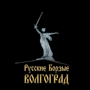 Волгоград by Русские Борзые