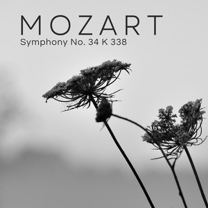 Mozart - Symphony No. 34 K 338 - Single by Wolfgang Amadeus Mozart