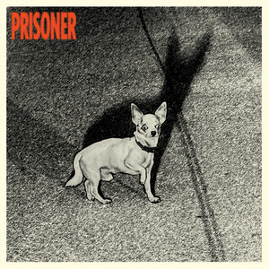 Am I an AI by PRISONER