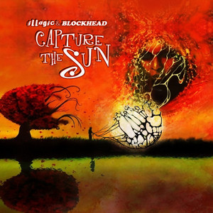 Capture the Sun cover