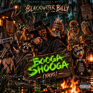BOOGA SHOOGA by BURNIN' BRIDGES Ai Music