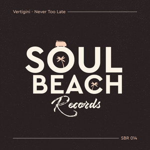 Never Too Late by Vertigini