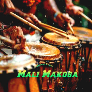 Collest_Beatz - Mali Makosa