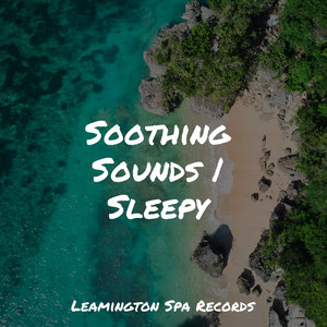 Soothing Sounds | Sleepy album