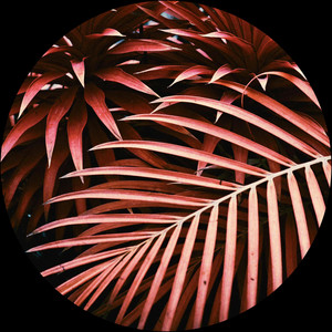 LUSH by Sudo Love