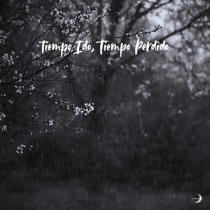 Tiempo Ido, Tiempo Perdido