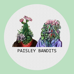 New Orleans by The Paisley Bandits