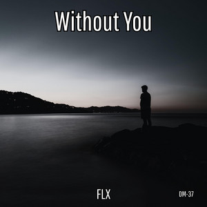 Without You by FLX