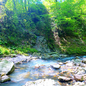 Leaves Along the River - Ambient Version by Tish'