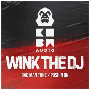 Wink The DJ