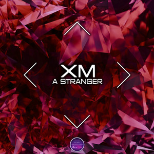 A Stranger by XM