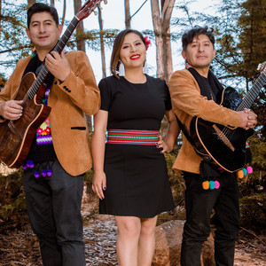 Flor de Sanqayo - Huajchapuquito