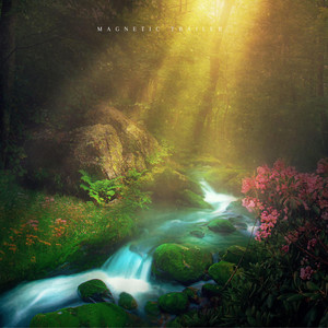 Stream