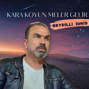 Beydilli İdris - Kara Koyun Meler Gelir